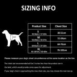 Easy Walk Harness & Leash - Image 2
