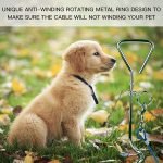 Dog Tie Out Cable With Spiral Ground Stake Spike - Image 4