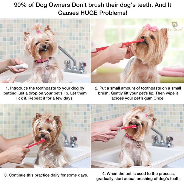 nunbell dog toothpaste