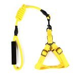 Cotton Harness With Leash - Image 4