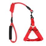 Cotton Harness With Leash - Image 6