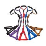Cotton Harness With Leash - Image 8