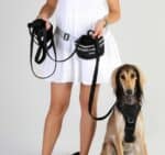 Dog Training Lead - Image 8