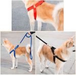 Easy Walk Harness & Leash - Image 4