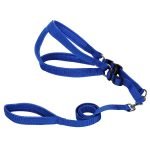 Easy Walk Harness & Leash - Image 6