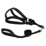 Easy Walk Harness & Leash - Image 9
