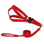 Easy Walk Harness & Leash - Image 10