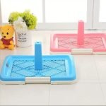 Dog Putty Tray - Image 11