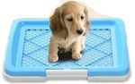 Dog Putty Tray - Image 10