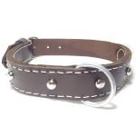 Double Leather Dog Collar