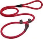 Slip Lead Leash - Image 2