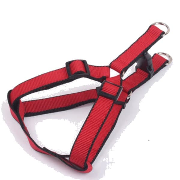 Adjustable Chest Harness & Leash Set For Dog - Comet Pets