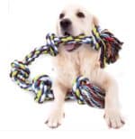 Heavy-Duty Rope Toy For Dogs - Image 2