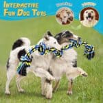 Heavy-Duty Rope Toy For Dogs - Image 6